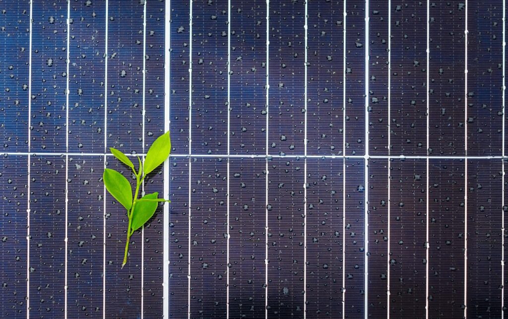 Impatto ambientale pannelli fotovoltaici, immagine di un pannello solare con una foglia verde accesa poggiata sopra.